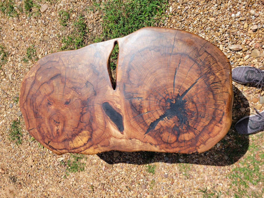 Wooden double tree coffee table with a natural, rustic design and black metal cross style legs in a living room setting.