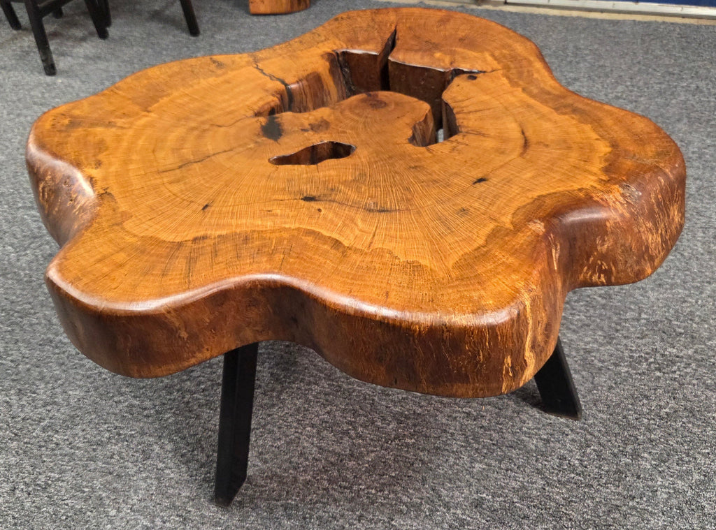 Large Live Oak Coffee Table with organic live edge shape, hole in the center section with black metal legs