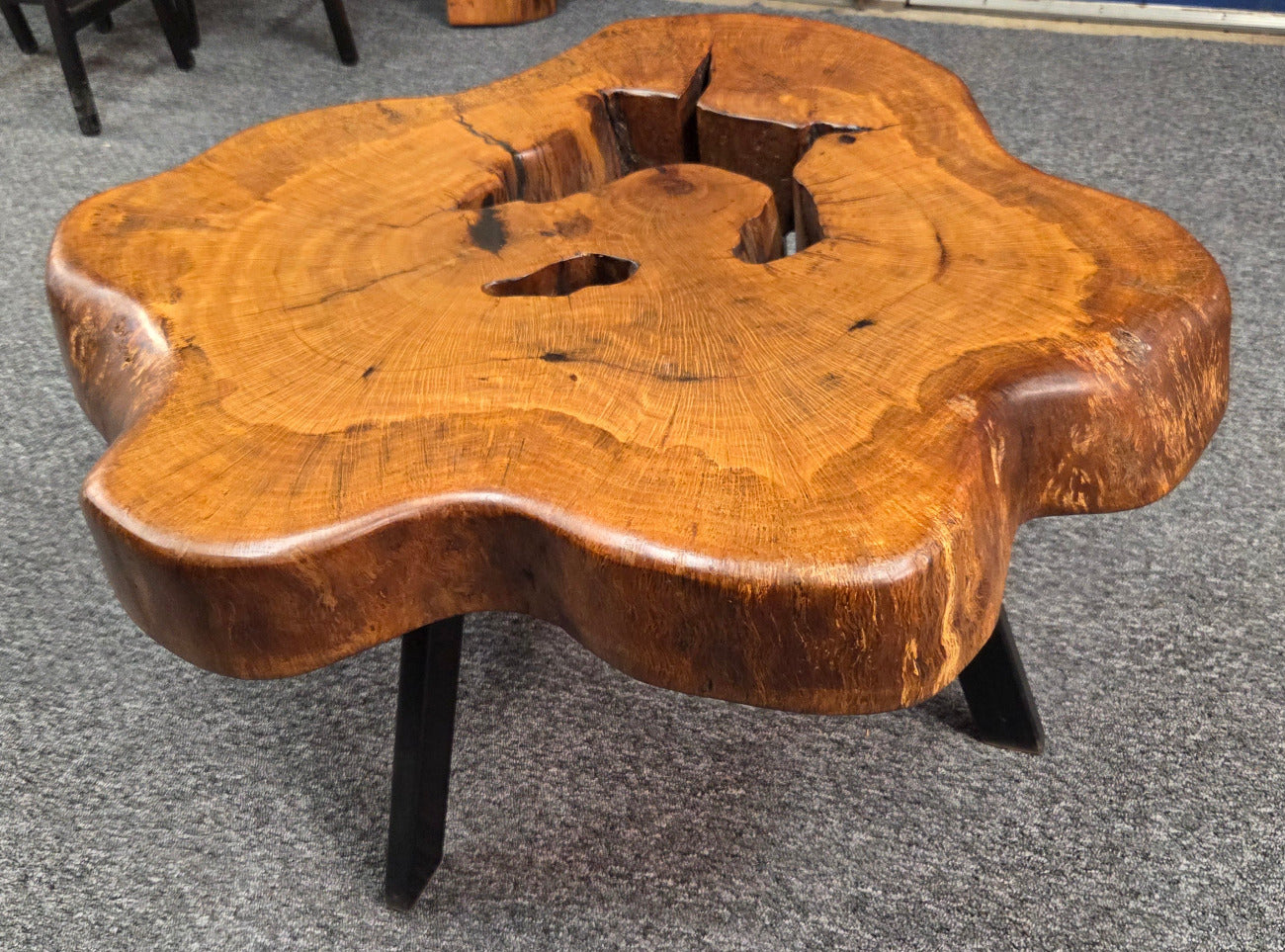 Large Live Oak Coffee Table with organic live edge shape, hole in the center section with black metal legs