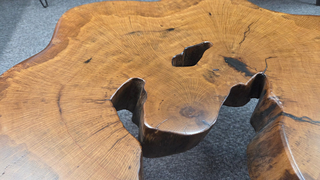 Large Live Oak Coffee Table with organic live edge shape, hole in the center section with black metal legs