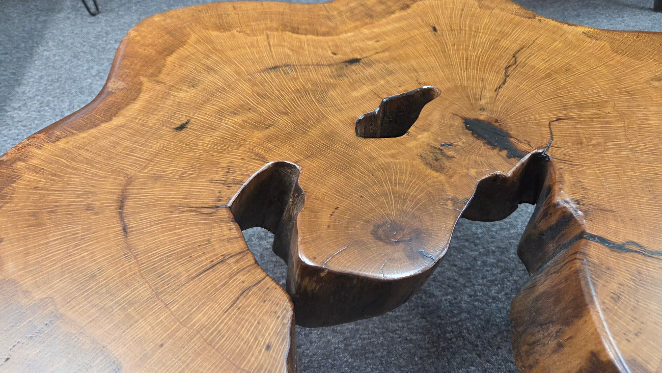 Large Live Oak Coffee Table with organic live edge shape, hole in the center section with black metal legs