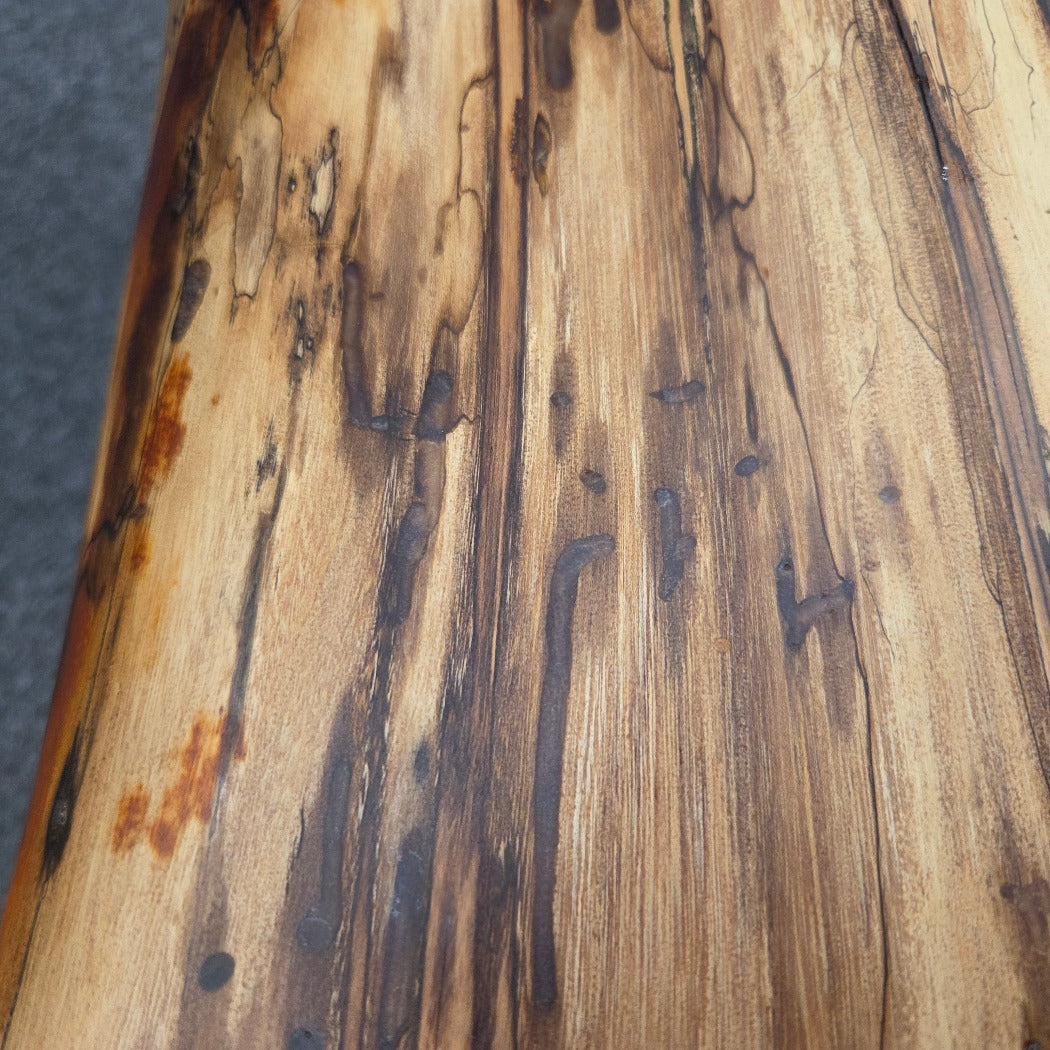 Elm Coffee table with live edges on black metal tube legs system