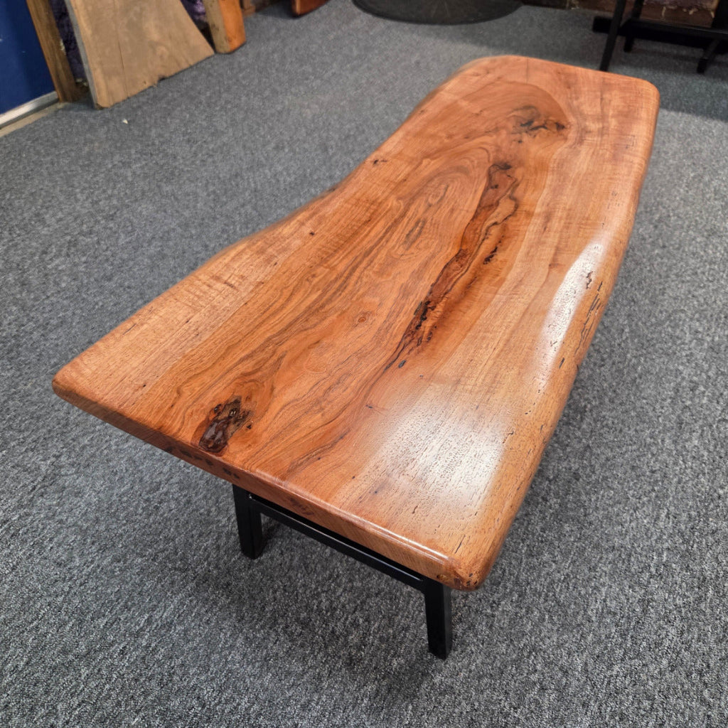 Handcrafted live edge pecan coffee table with Honey Oak stain and black steel legs