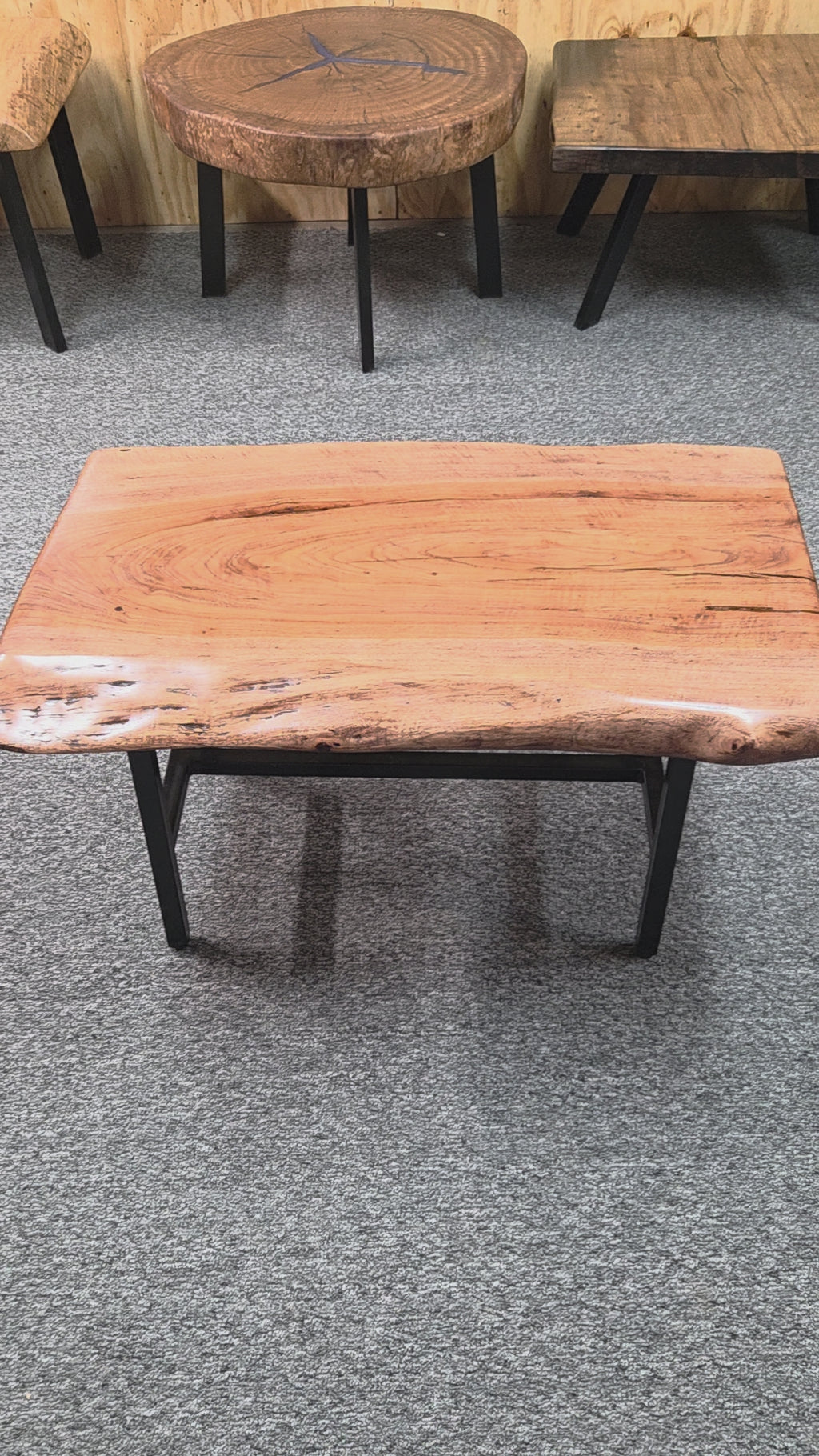 Handcrafted pecan live edge coffee table with black steel frame in a rustic living room