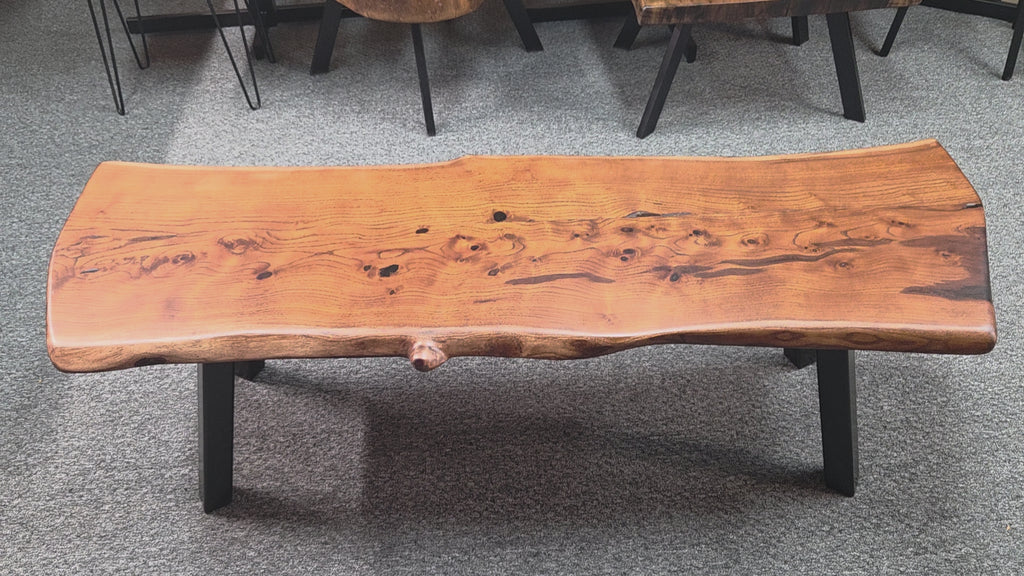 beautiful Bois D'Arc Bench Live edge rustic with black metal legs.