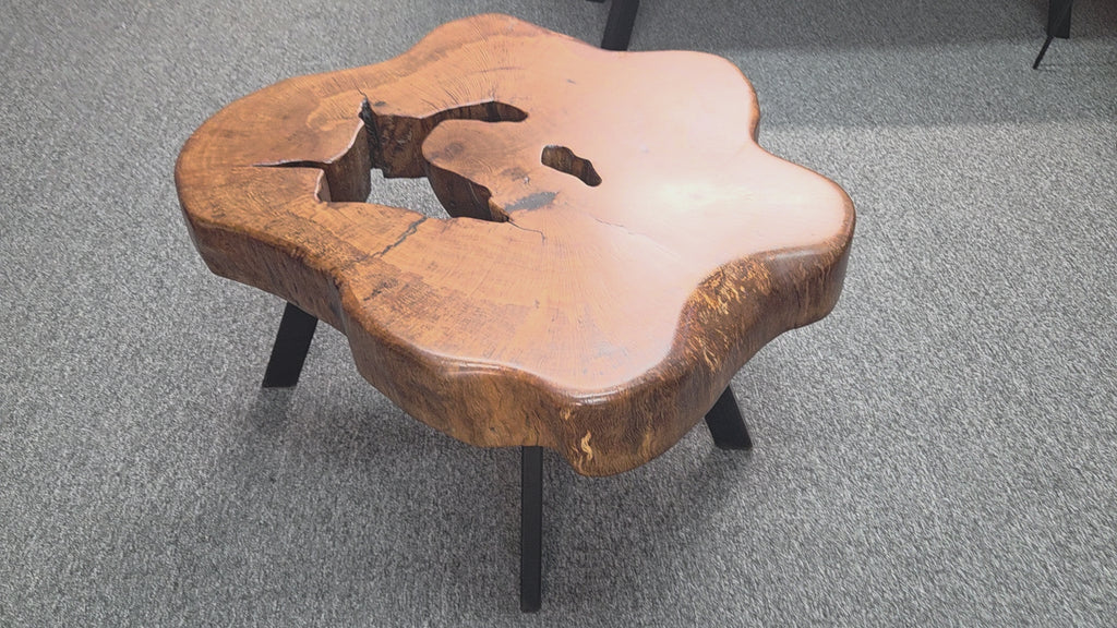 Large Live Oak Coffee Table with organic live edge shape, hole in the center section with black metal legs