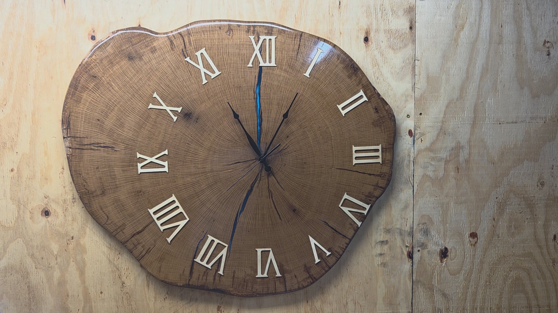 Large live edge Live Oak clock with wooden roman numerals with blue epoxy inlay and black clock arms